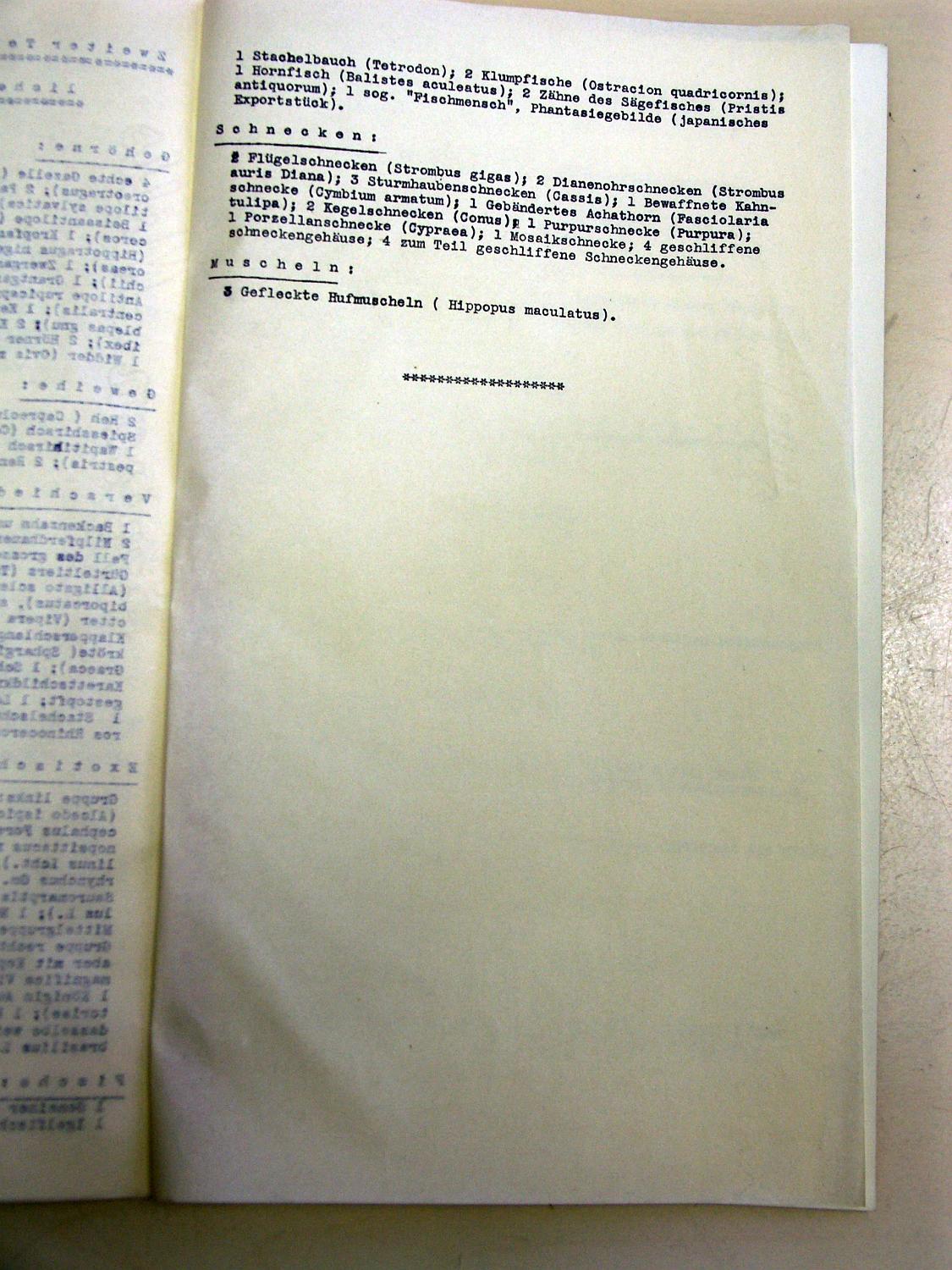 bu-sio00-0h katalog sammlung im obersteg